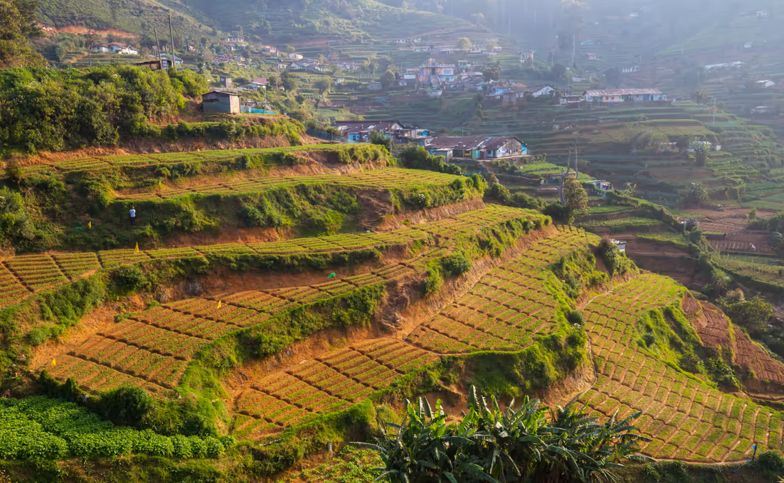 Inovasi Pertanian Terasering