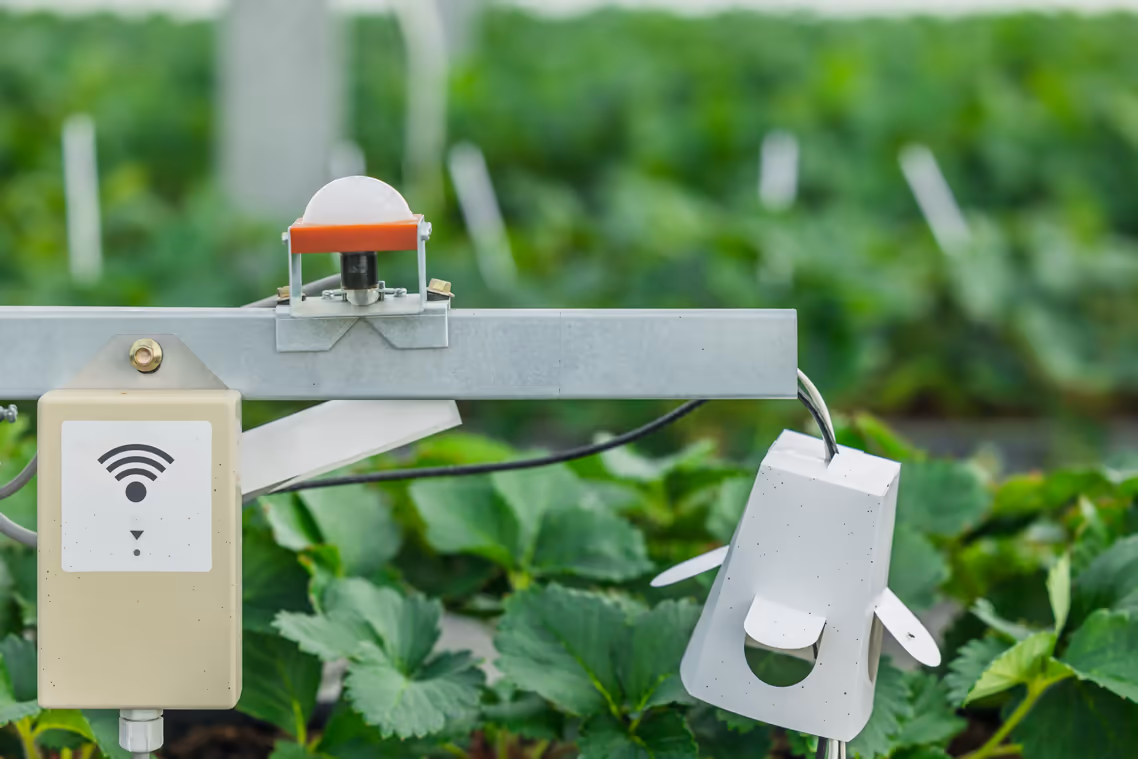 Pemantauan Pertanian Canggih